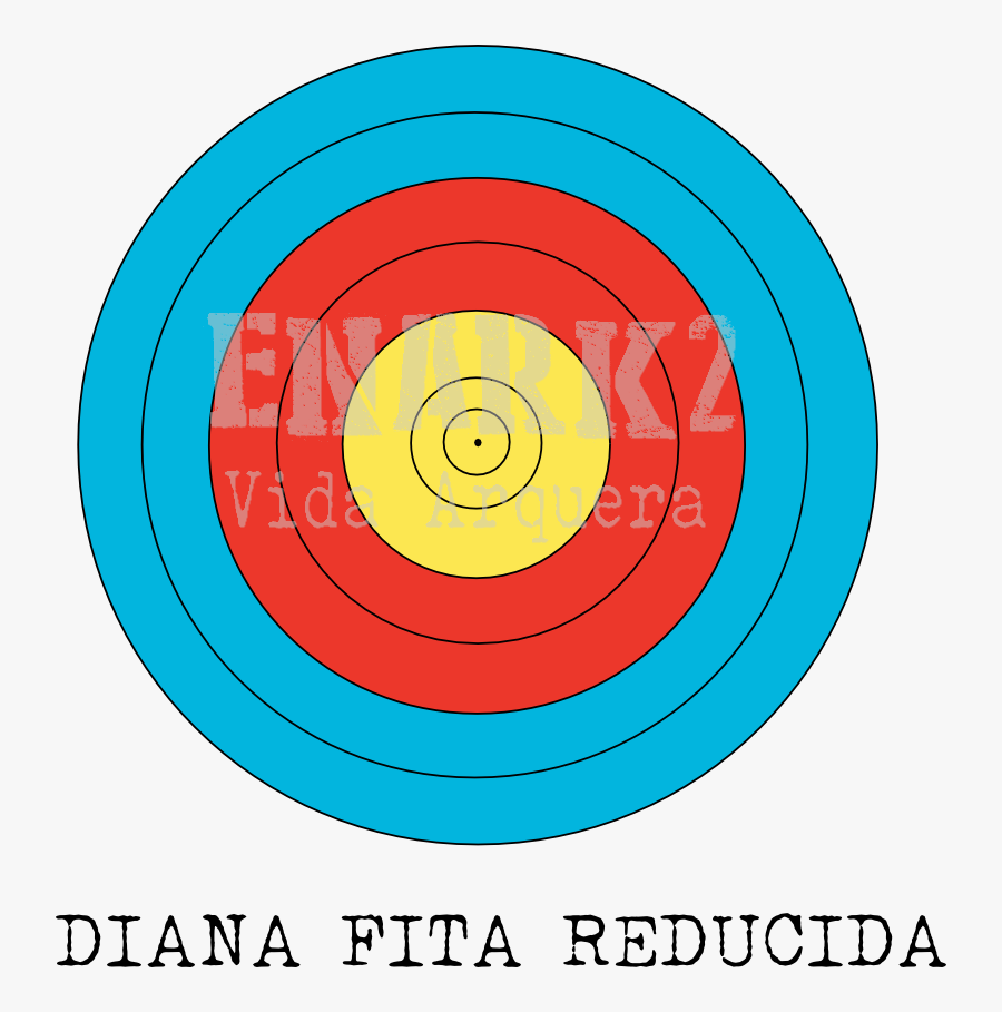 Diana Fita - Circle, Transparent Clipart