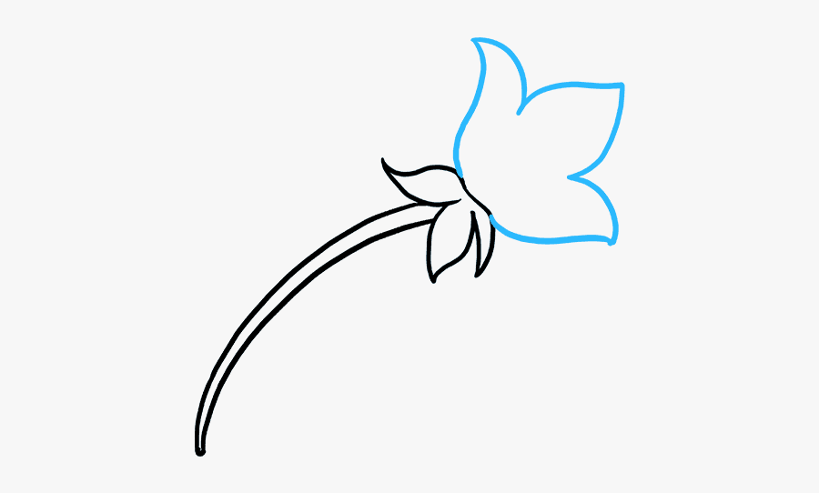 How To Draw Mother’s Day Flower - Easy Drawings Mothers Day, Transparent Clipart