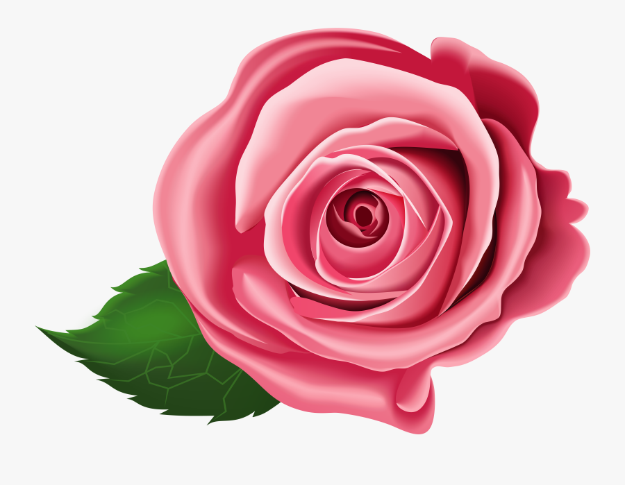 Rose Transparent Png Clip Art - Transparent Png Pink Rose Clipart, Transparent Clipart