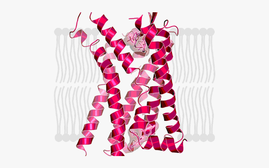 Target Clipart Antagonist, Transparent Clipart