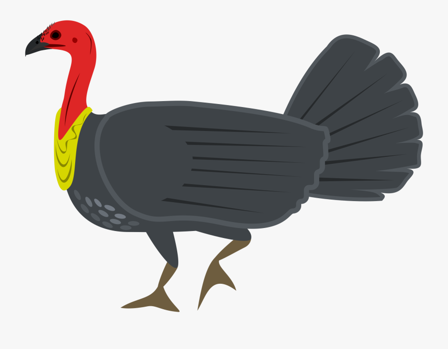 Australian Brush-turkey Icons Png - Bush Turkey Clip Art, Transparent Clipart