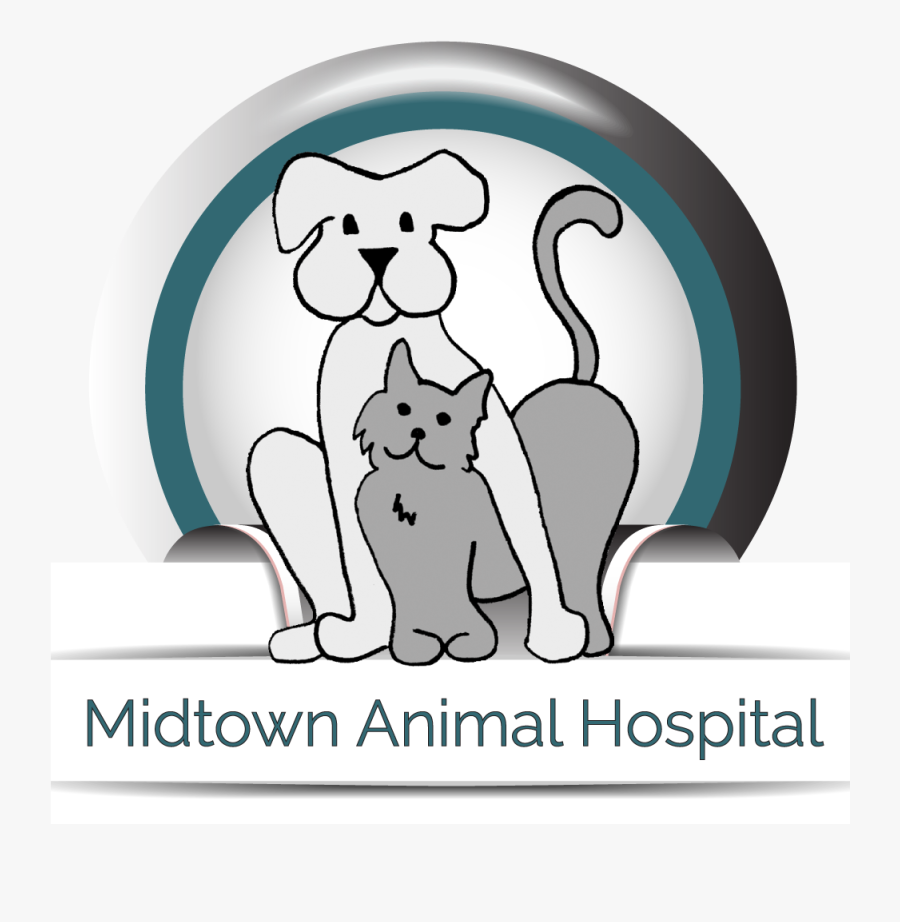 Midtown Animal Hospital in Sacramento, Ca - Cartoon, Transparent Clipart