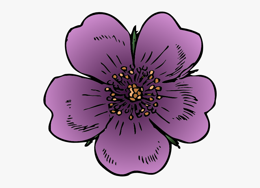 Peach Blossom Clip Art, Transparent Clipart