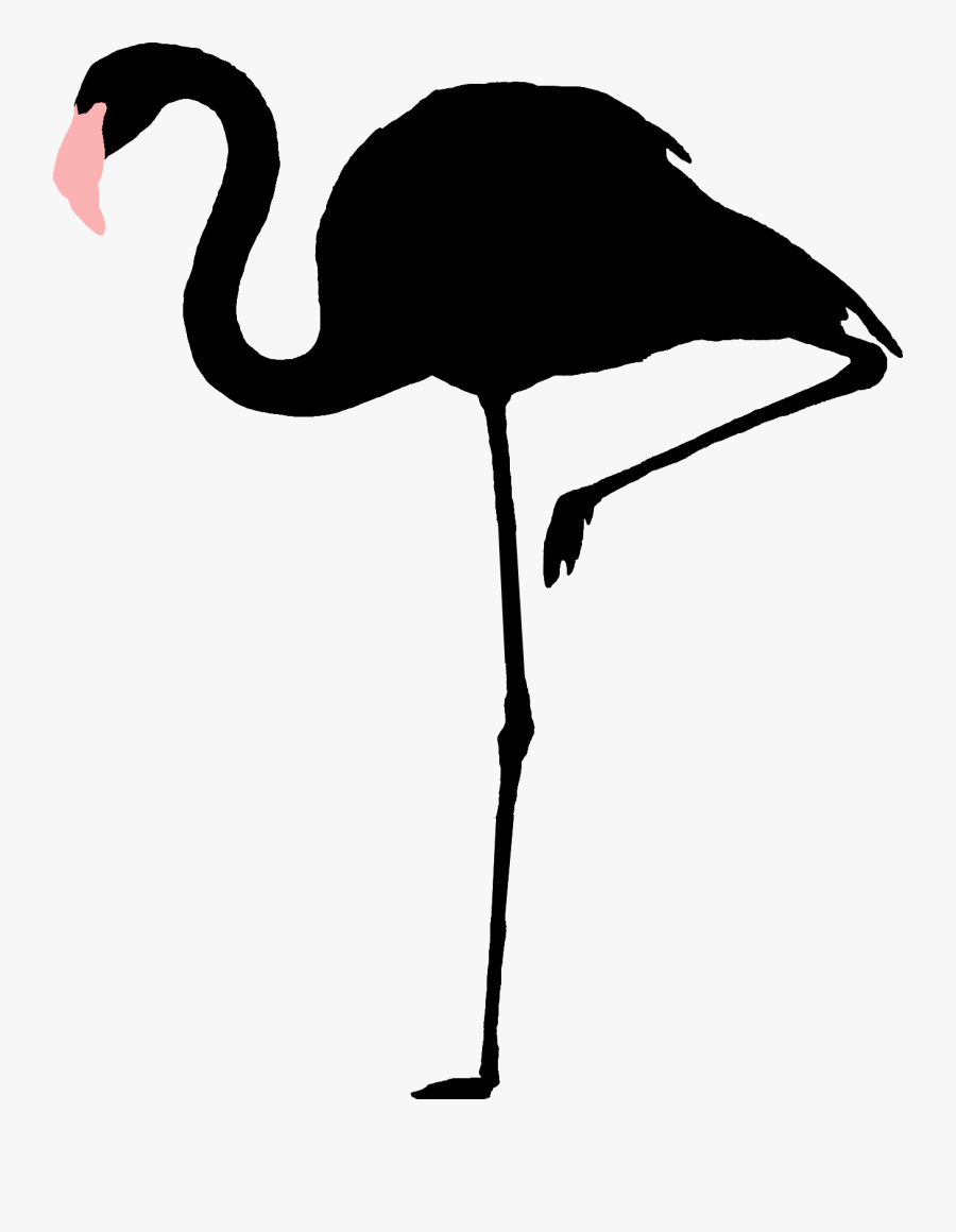 Flamingo Drawing Animation For Free Download - Flamingos Reais Em Png, Transparent Clipart