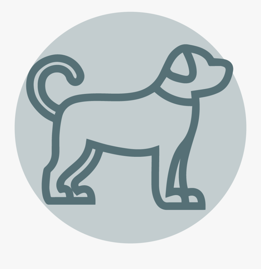 Dog Coupon, Transparent Clipart