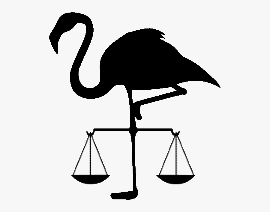 Transparent Flamingos Clipart - Flamingo Vector, Transparent Clipart