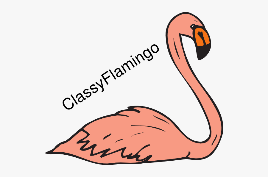 Flamingo Swimming Clipart, Transparent Clipart