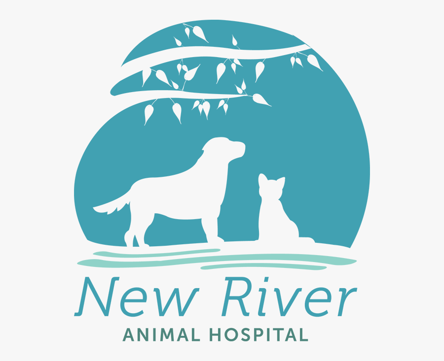 New River Animal Hospital - Illustration, Transparent Clipart