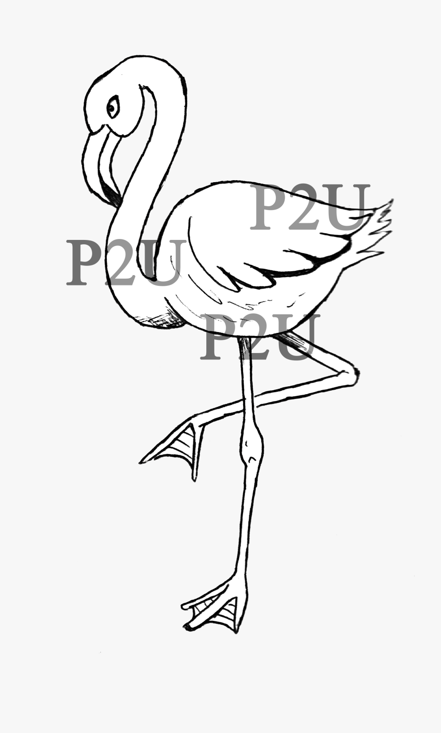 Clip Art Flamingo Line Art - Flamingo Lineart, Transparent Clipart