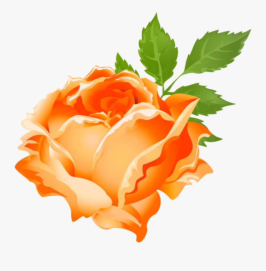 Rose Clipart Stick - Orange Rose Clipart Png, Transparent Clipart
