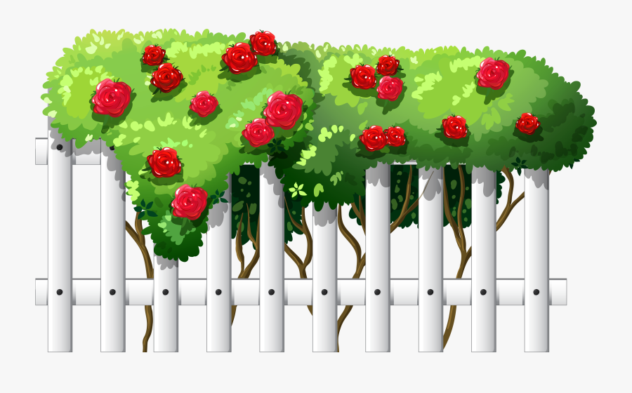 White Fence With Roses Png Clipart - Bosquejo De Rosa Rocio, Transparent Clipart
