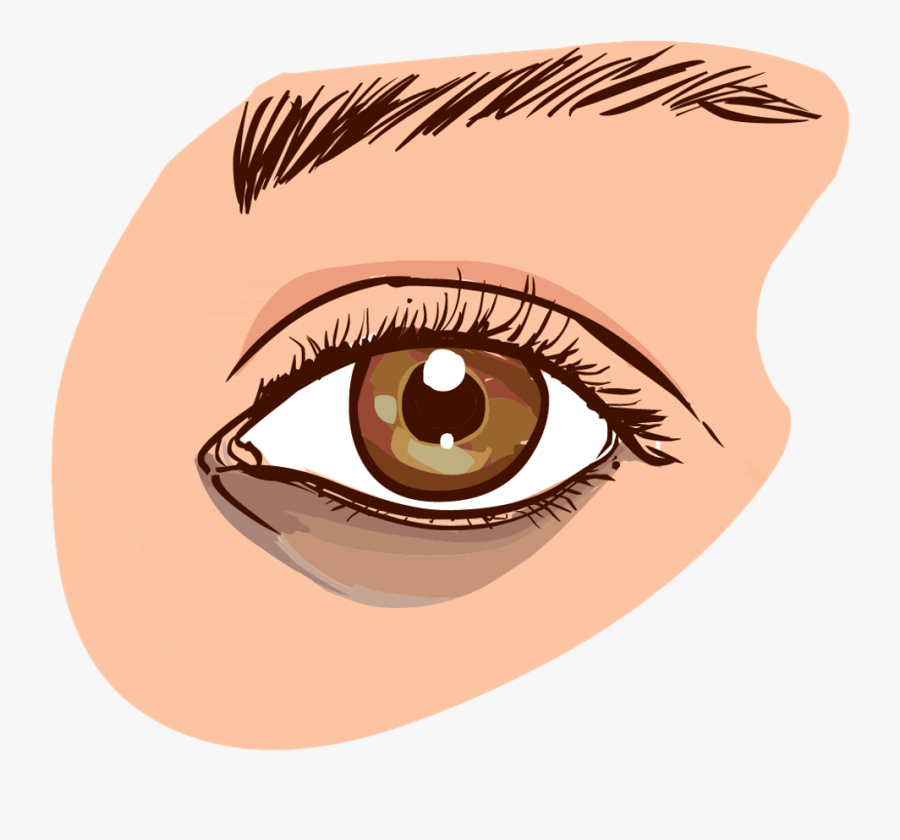 Brown Eyes Clipart Small Eye Dark Circles Under Eyes Causes Free Transparent Clipart Clipartkey Explore 2974 free eyes clipart & silhouette images. eye dark circles under eyes causes