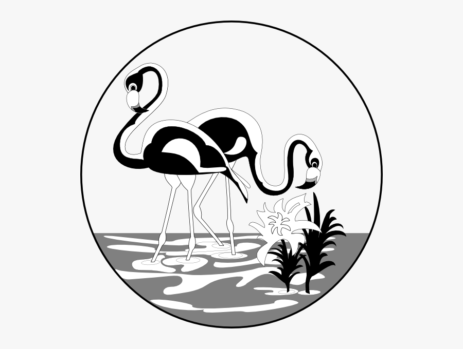 Black And White Flamingos Clip Art - Swan Kaki Panjang Vector, Transparent Clipart