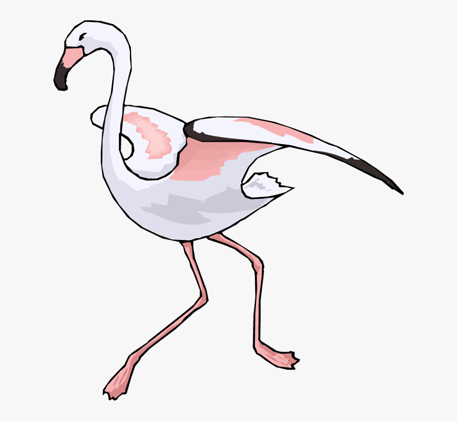 นก กระเรียน Png, Transparent Clipart