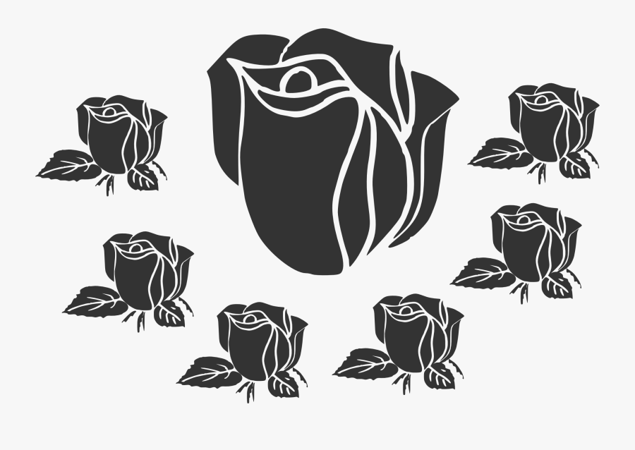 Blue Rose, Transparent Clipart