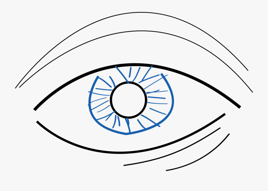 Line Art,human Body,eye - Simple Eyes Drawing Color, Transparent Clipart