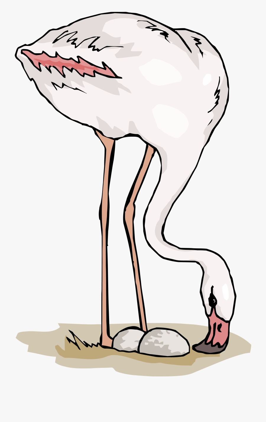 Flamingo Egg Clipart, Transparent Clipart