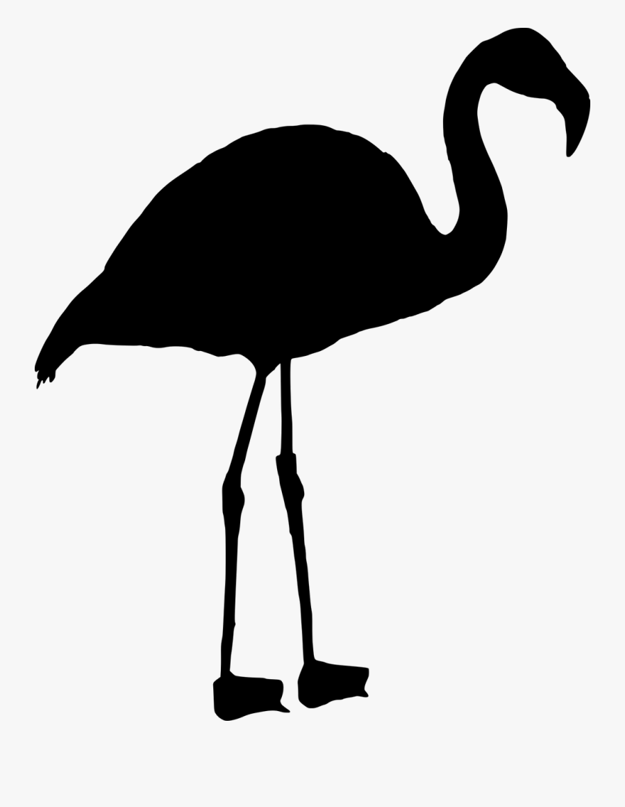 Seagull Stencil 15, Buy Clip Art - Flamenco En Negro, Transparent Clipart