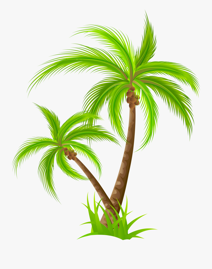 Transparent Flamingo Clip Art - Palm Tree Clipart Png, Transparent Clipart