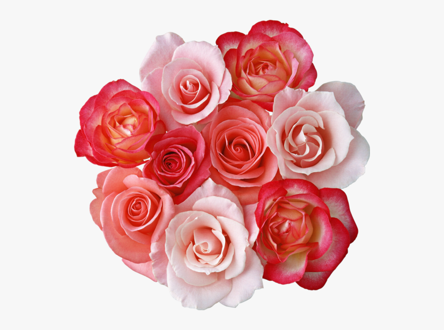 Bouquet Of Roses Clipart Clipartfox - Beautiful Flowers Photo Download, Transparent Clipart