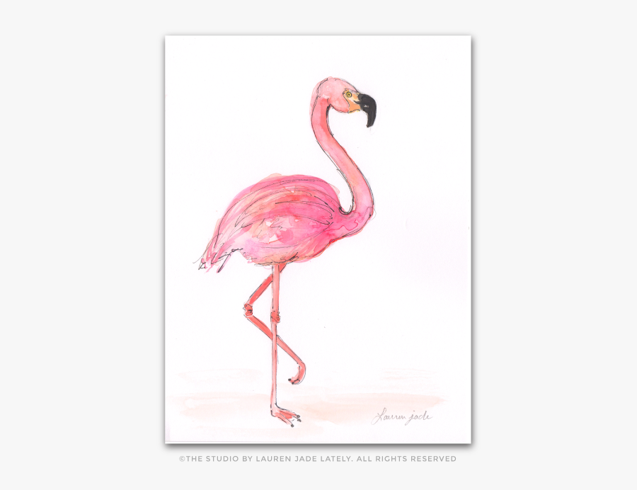 Clip Art How To Draw A Flamingo - Greater Flamingo, Transparent Clipart