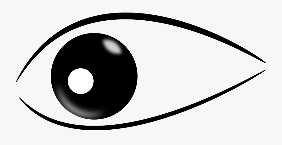 Ojo Png Transparent Images - Shark Eye Clipart, Transparent Clipart