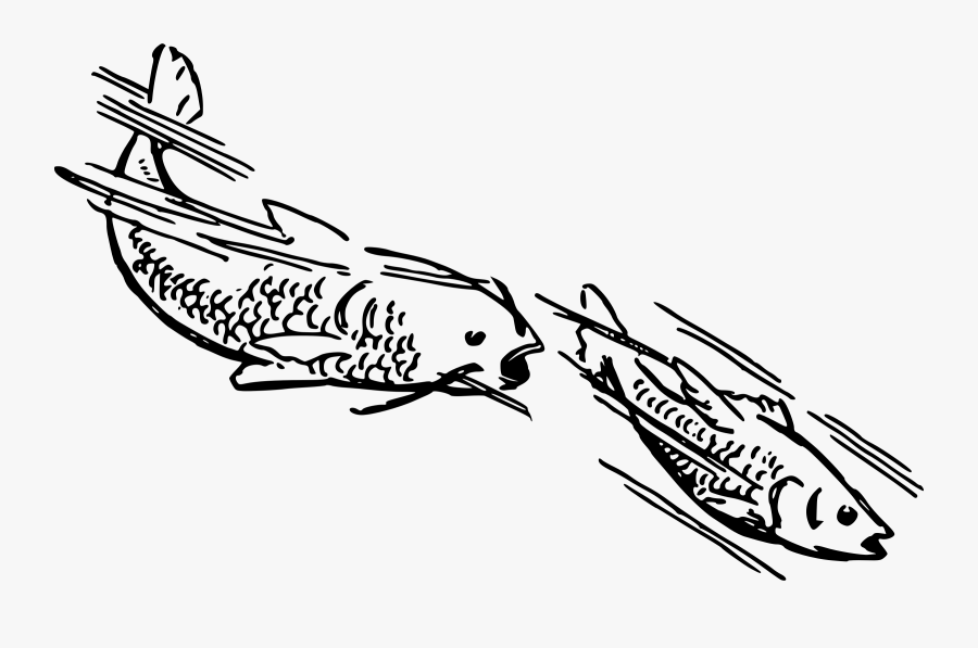 Transparent Swim Clipart - Fish Swimming Black And White Clipart, Transparent Clipart
