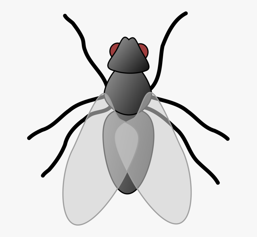 Fly Clip Art, Transparent Clipart