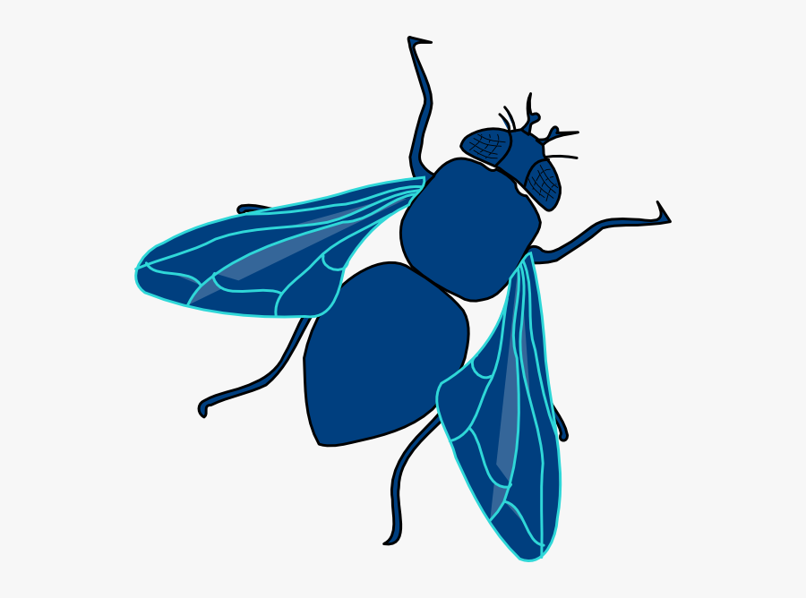 Fly Clipart Fly Clip Art Free Transparent Clipart Clipartkey Fly Clipart Fly Clip Art Free Transparent Clipart Clipartkey