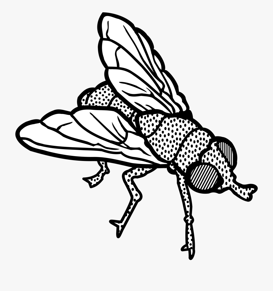 Big Image - Flies Clipart, Transparent Clipart