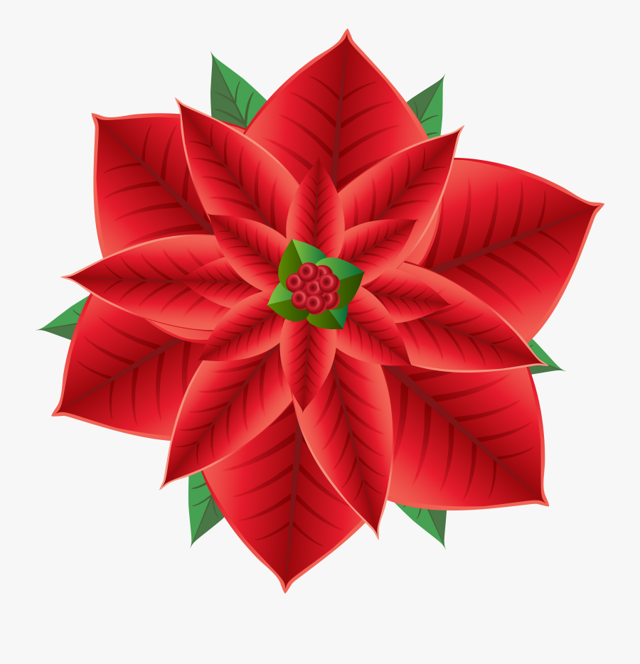 Poinsettias Clipart Clip Art, Transparent Clipart