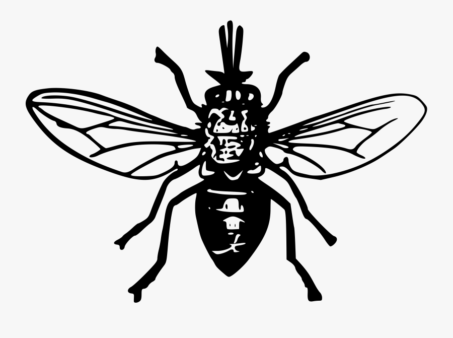 This Free Icons Png Design Of Tsetse Fly- - Tsetsefly Black And White, Transparent Clipart