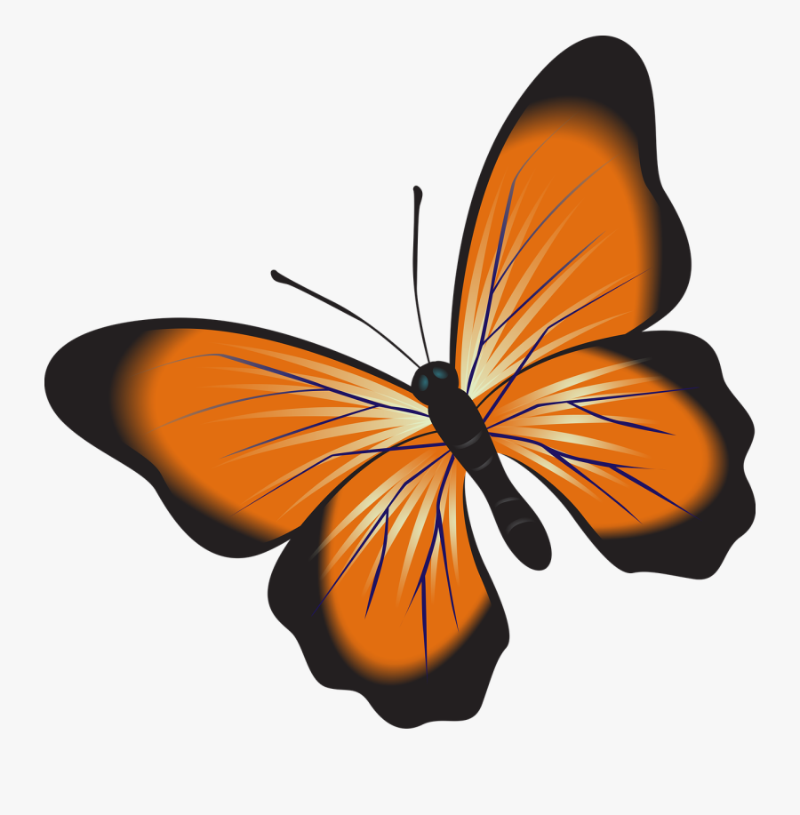 Butterfly, Orange, Clip Art, Insect, Nature, Natural - Schmetterling Clipart Orange, Transparent Clipart