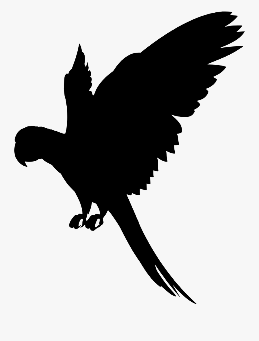 Silhouette, Parrot, Fly, Bird, Wing, Animal - Colorful Flying Birds Png, Transparent Clipart