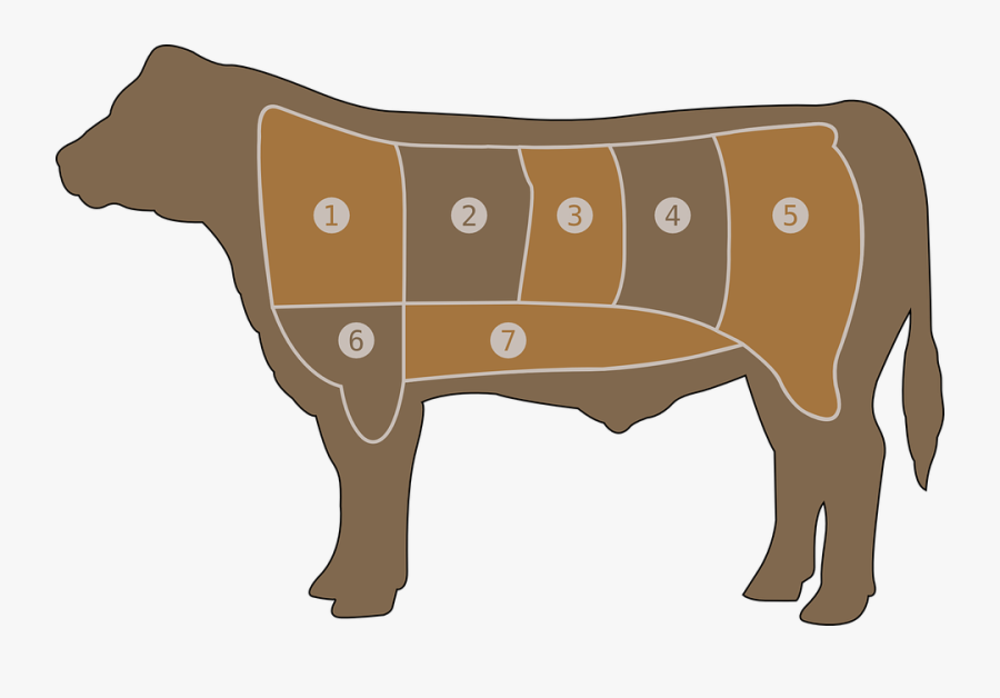 Bull,livestock,horse Like Mammal - Beef Chart, Transparent Clipart