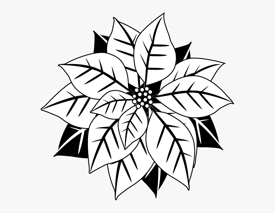 Collection Of Free Poinsettia Drawing Download On Ui - Black And White Mistletoe, Transparent Clipart