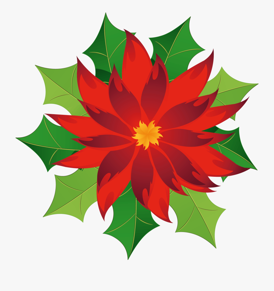 Christmas Poinsettia Clipart M=1399672800 - Poinsettia Clip Art, Transparent Clipart