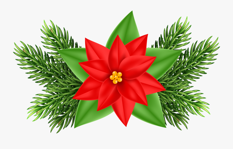 Clip Art Christmas Poinsettia, Transparent Clipart
