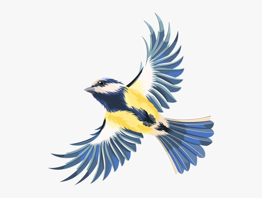Flying Bird Transparent Png Clip Art Image - Flying Bird Png Clipart, Transparent Clipart