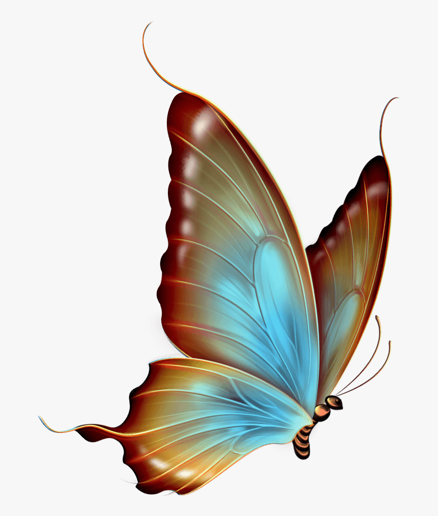 Fly Clipart Transparent Background - Transparent Background Butterfly Png Hd, Transparent Clipart