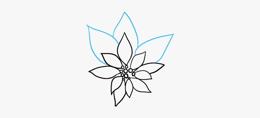 Poinsettia Clipart Drawing - Line Art, Transparent Clipart