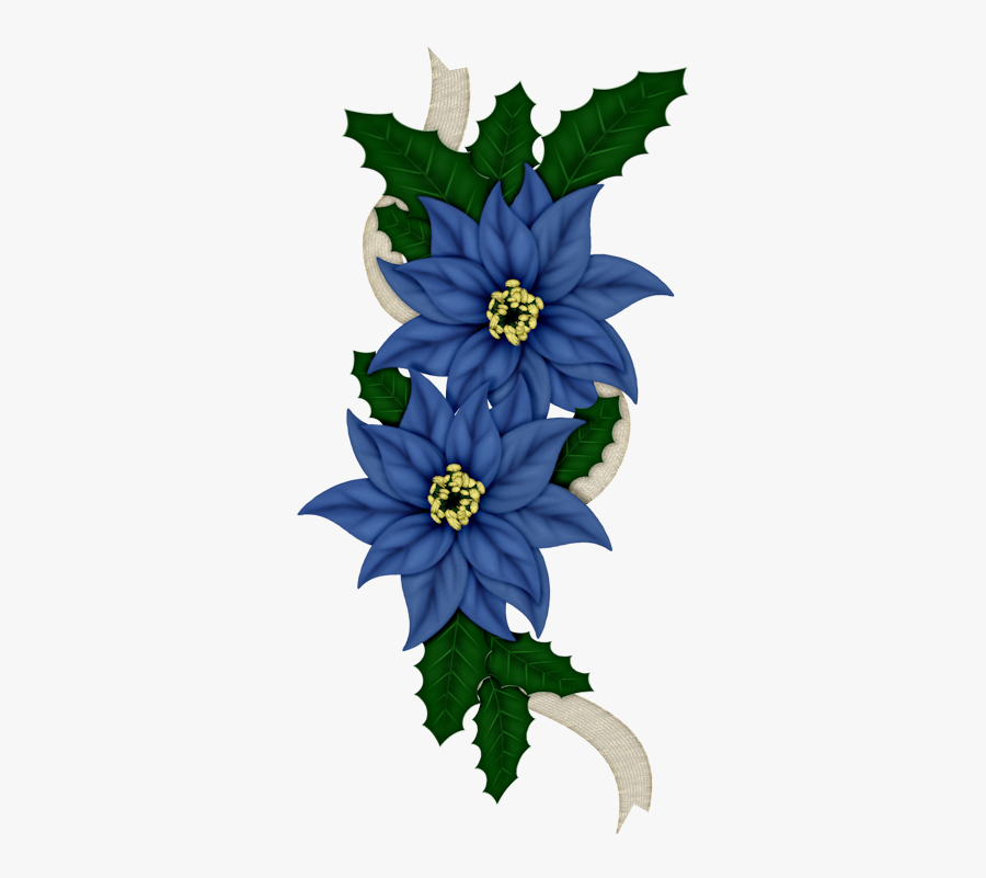 C Orig Kwiaty - Blue Poinsettia Christmas Png, Transparent Clipart