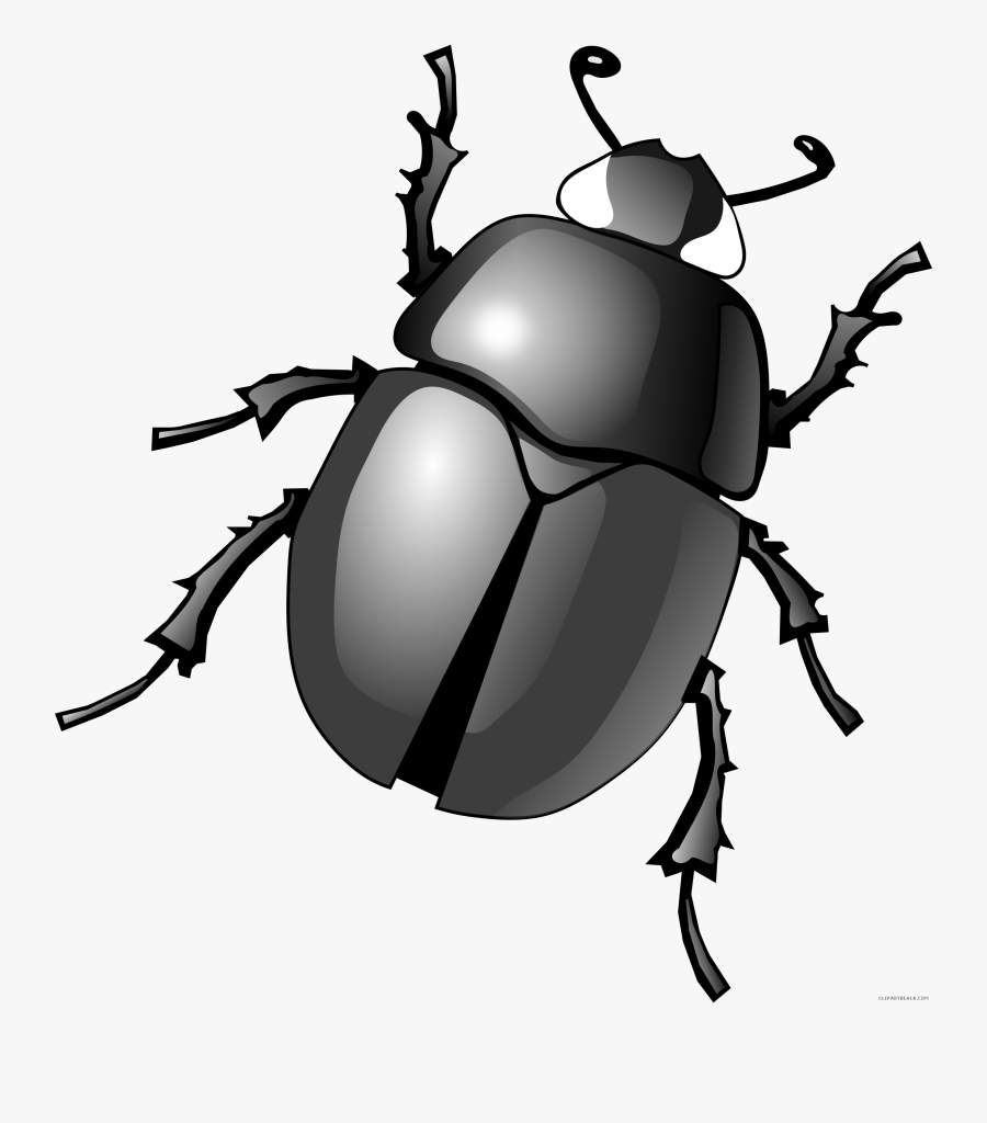 Dung Clip Art Transprent - Beetle Clipart, Transparent Clipart