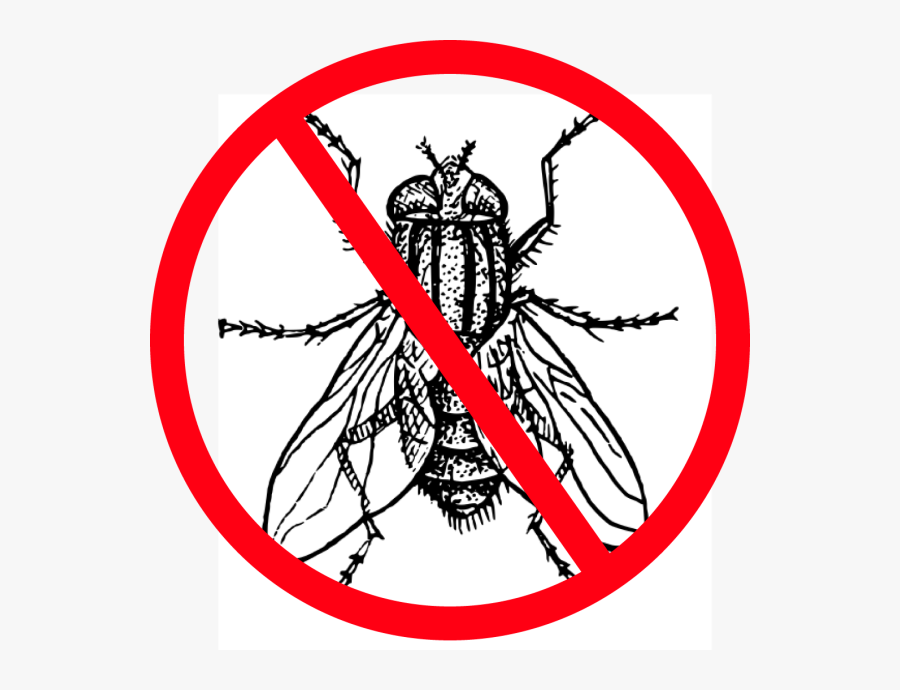 Flies Clipart Harmful Insect - Fly Black And White Clipart, Transparent Clipart