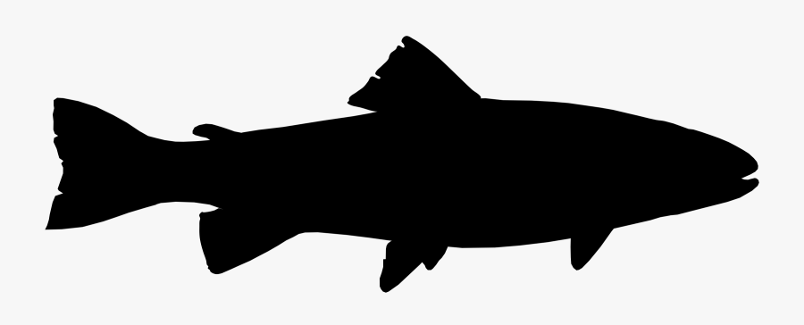 Rainbow Trout Fly Fishing Free Commercial Clipart - Lake Trout Silhouette, Transparent Clipart