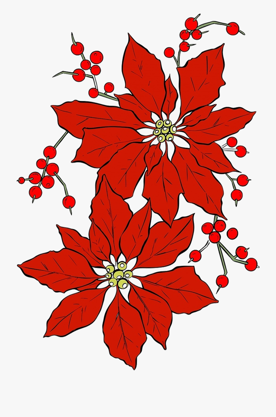 Poinsettia Christmas Flowers, Transparent Clipart