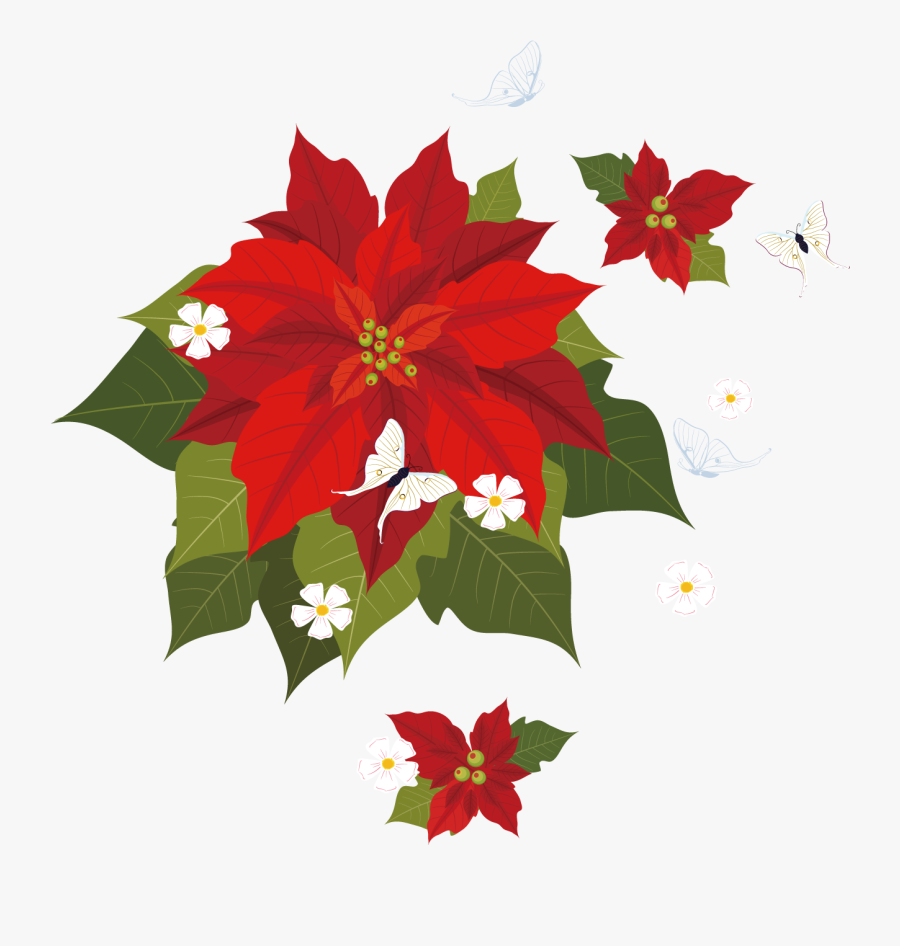 Poinsettia Clipart Vector - Flor De Pascua Vector, Transparent Clipart