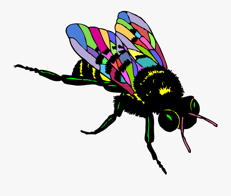European Dark Bee Drawing - Realistic Bee Clipart Black And White, Transparent Clipart