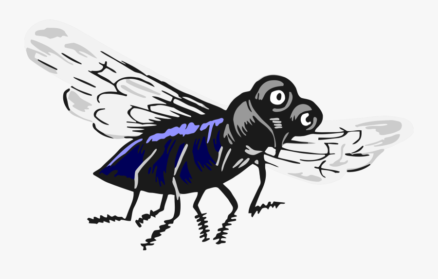 Fly,carpenter Bee,cartoon - Cartoon, Transparent Clipart