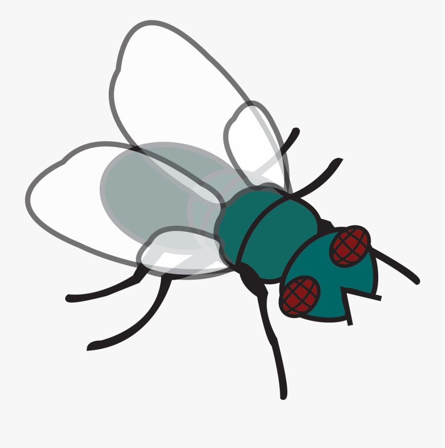 Fly Clip Art - Fly Clipart, Transparent Clipart